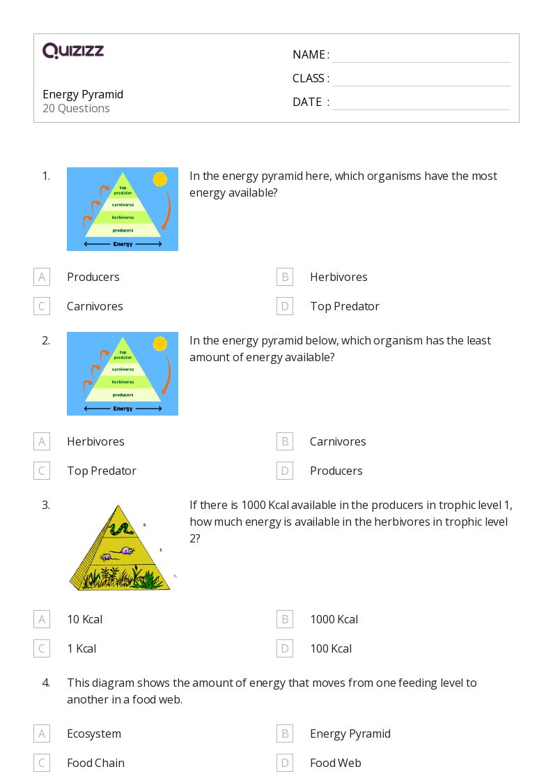 50+ Energy worksheets for Class 5 on Quizizz Free & Printable