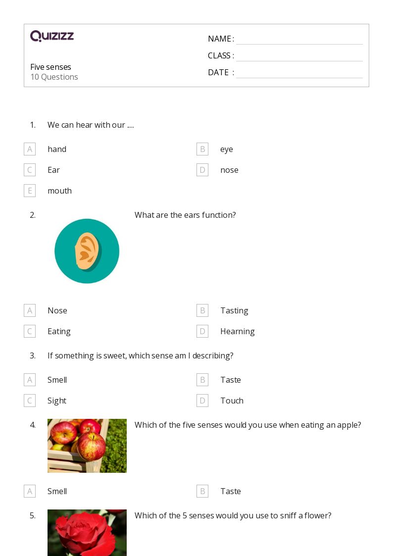 50+ The 5 Senses worksheets for 2nd Grade on Quizizz Free & Printable