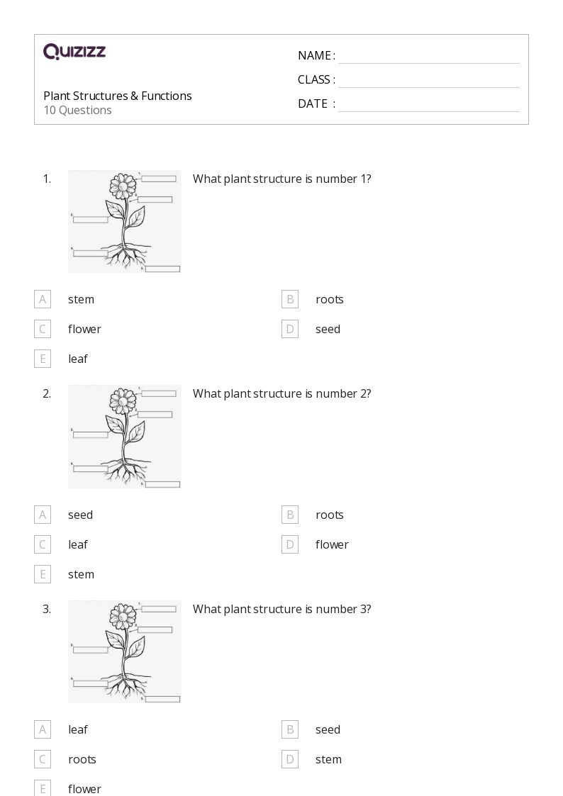 50+ Functions worksheets on Quizizz | Free & Printable