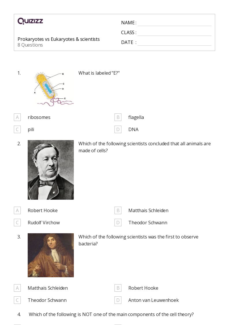 50+ prokaryotes and eukaryotes worksheets for 10th Class on Quizizz
