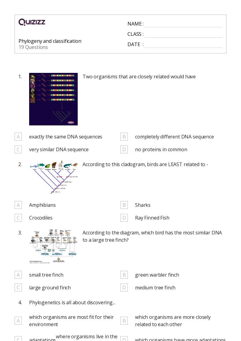 50+ phylogeny worksheets for 10th Class on Quizizz Free & Printable