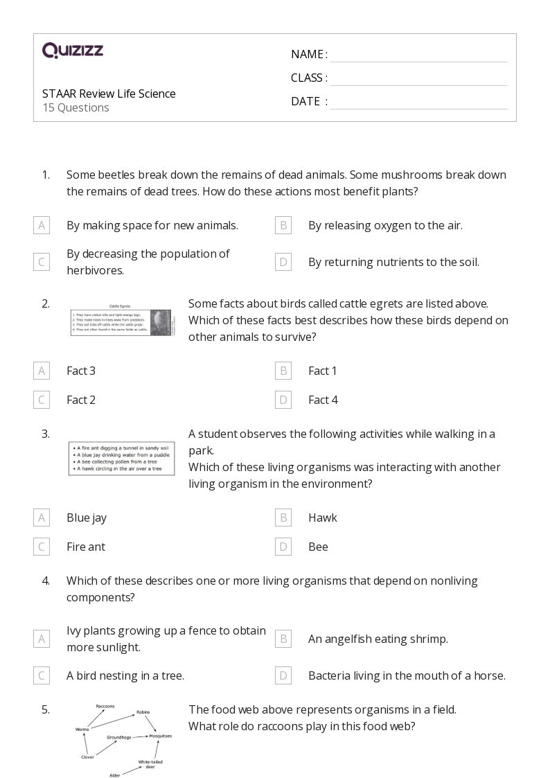 50+ Life Science worksheets on Quizizz Free & Printable