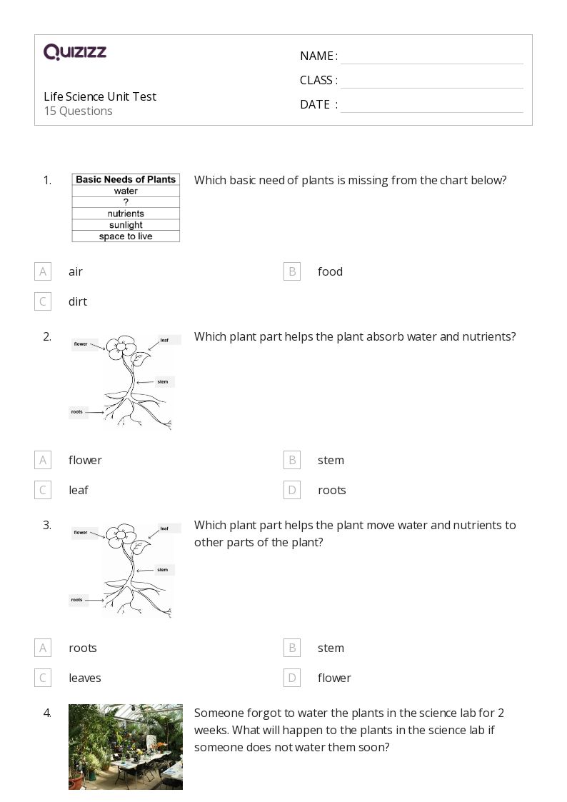 50+ Life Science worksheets for 2nd Grade on Quizizz Free & Printable