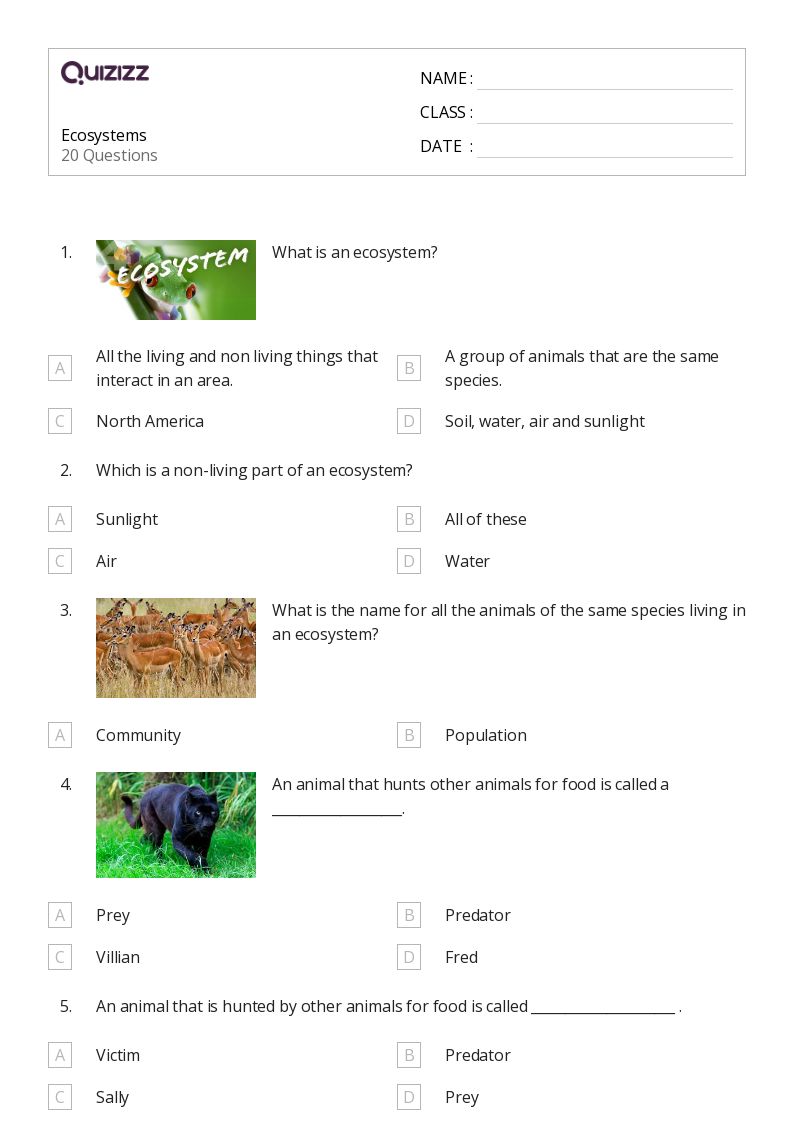 50+ Ecosystems worksheets for 8th Grade on Quizizz Free & Printable