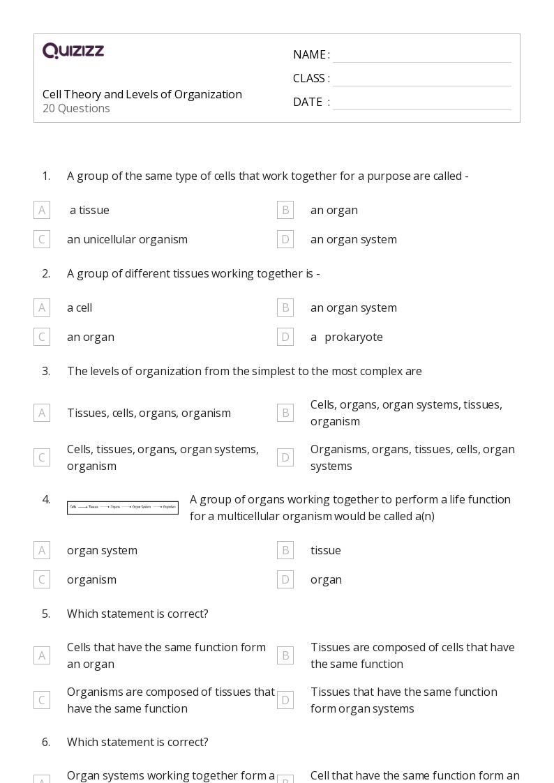 50+ Writing Organization and Structure worksheets for 7th Grade on
