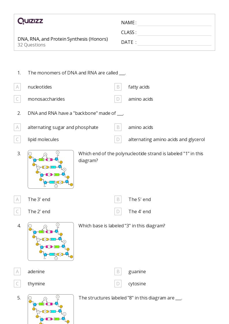 50+ rna and protein synthesis worksheets for 10th Year on Quizizz