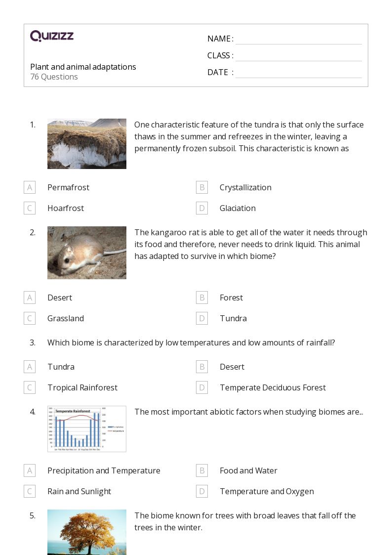 50+ animal adaptations worksheets on Quizizz | Free & Printable