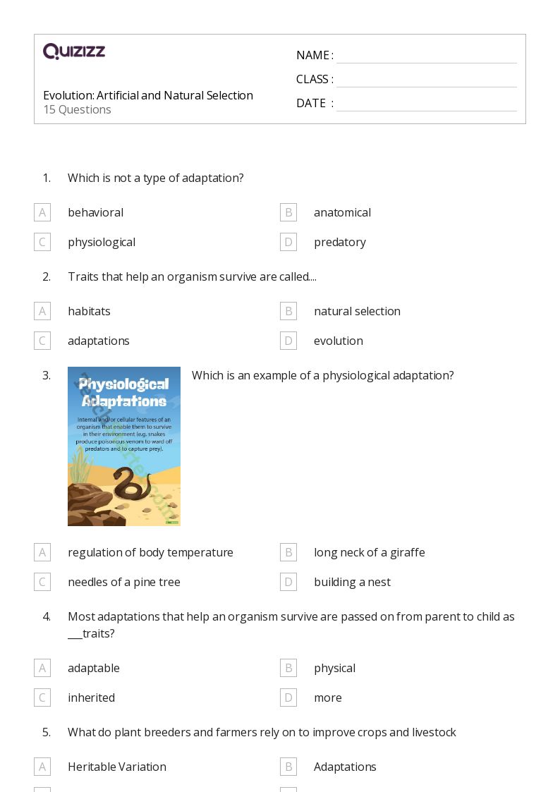 50+ evolution and the tree of life worksheets for 12th Year on Quizizz