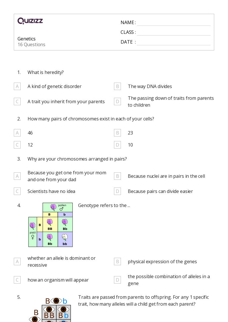 50+ worksheets for 6th Grade on Quizizz Free & Printable
