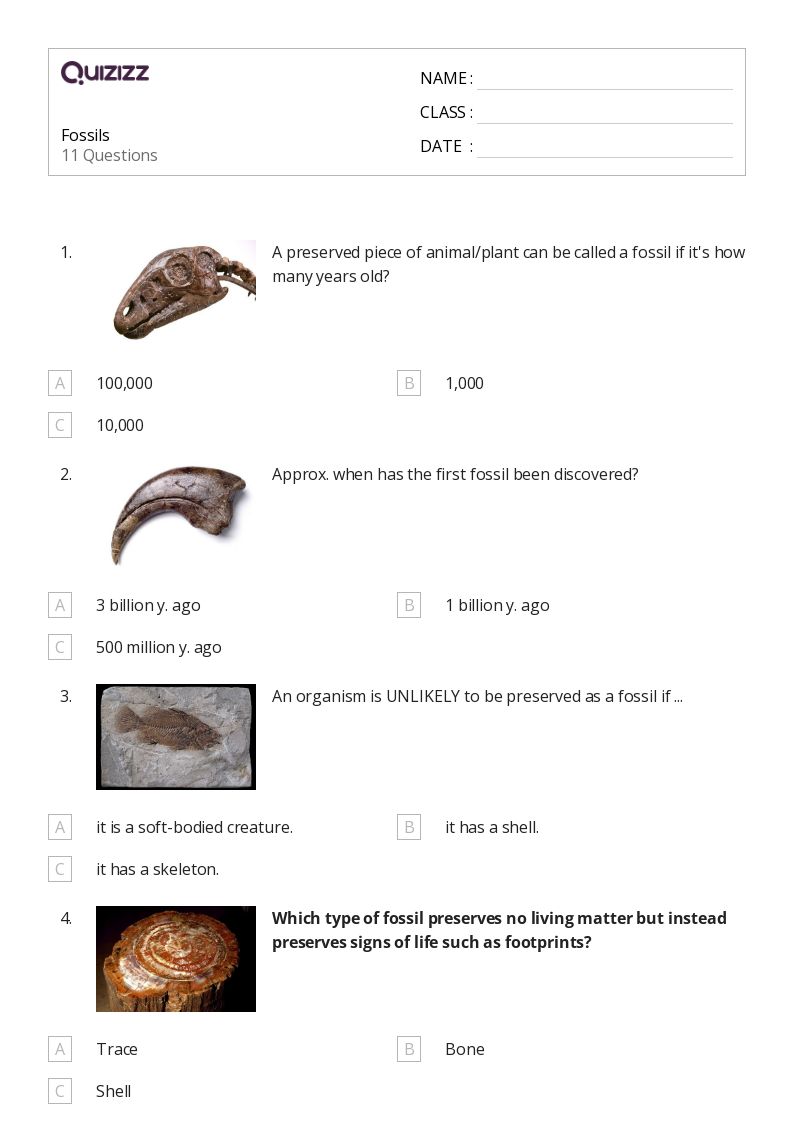 50+ fossils worksheets for 10th Year on Quizizz Free & Printable