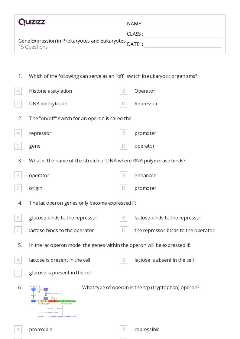 50+ prokaryotes and eukaryotes worksheets on Quizizz Free & Printable