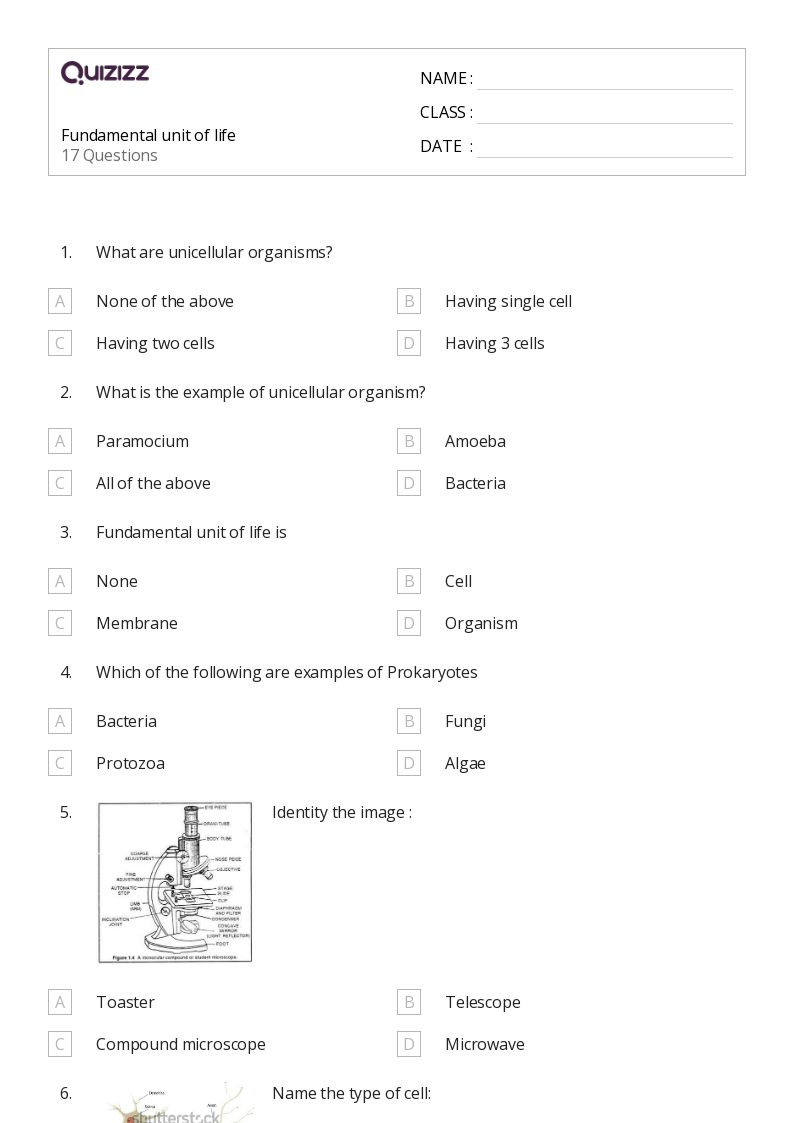 50+ living and non living things worksheets for 9th Class on Quizizz Free & Printable