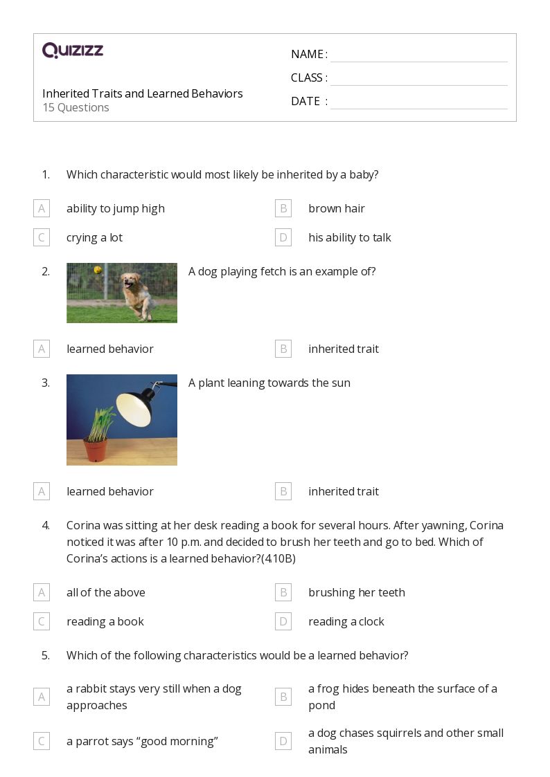 50+ Middle Sounds worksheets for 5th Grade on Quizizz Free & Printable