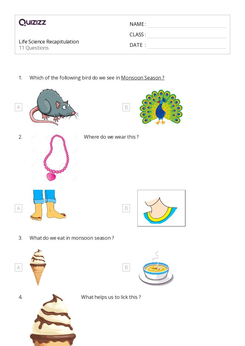 50+ Life Science worksheets for Kindergarten on Quizizz | Free & Printable