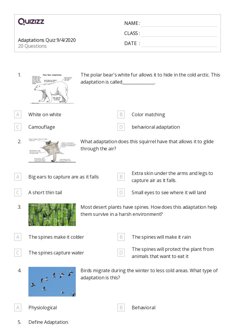 50+ Natural Selection and Adaptations worksheets for 7th Grade on
