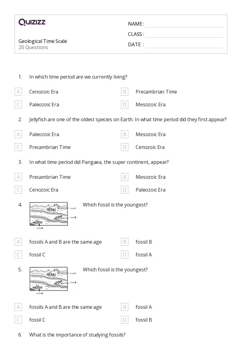 50+ fossils worksheets for 12th Class on Quizizz Free & Printable