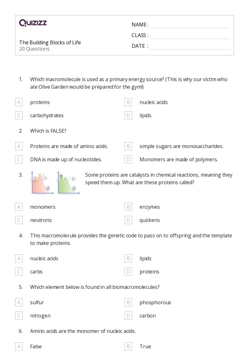 50+ Fundamentals and Building Blocks worksheets on Quizizz Free
