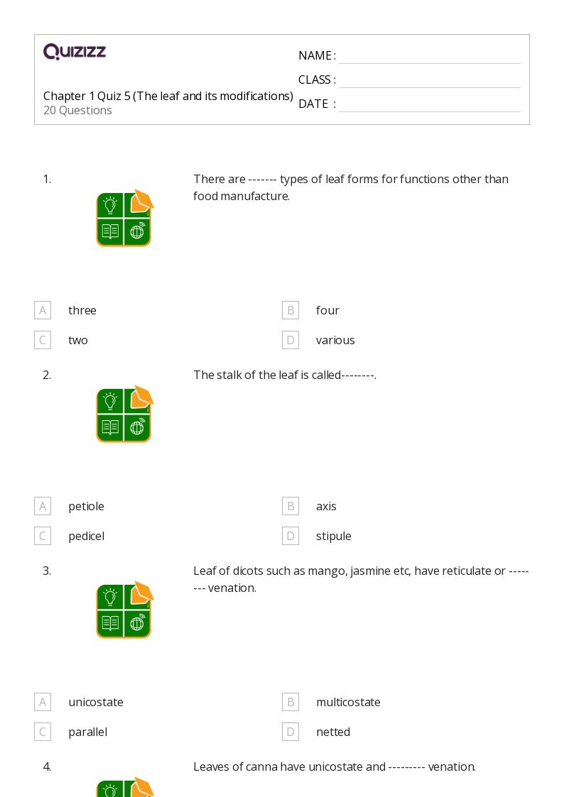 50+ plant parts and their functions worksheets on Quizizz Free