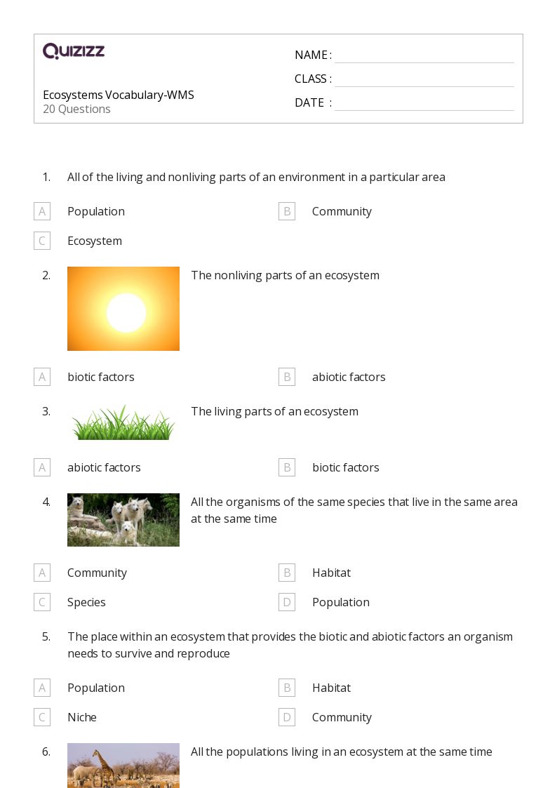 50+ Ecosystems worksheets for 8th Grade on Quizizz Free & Printable