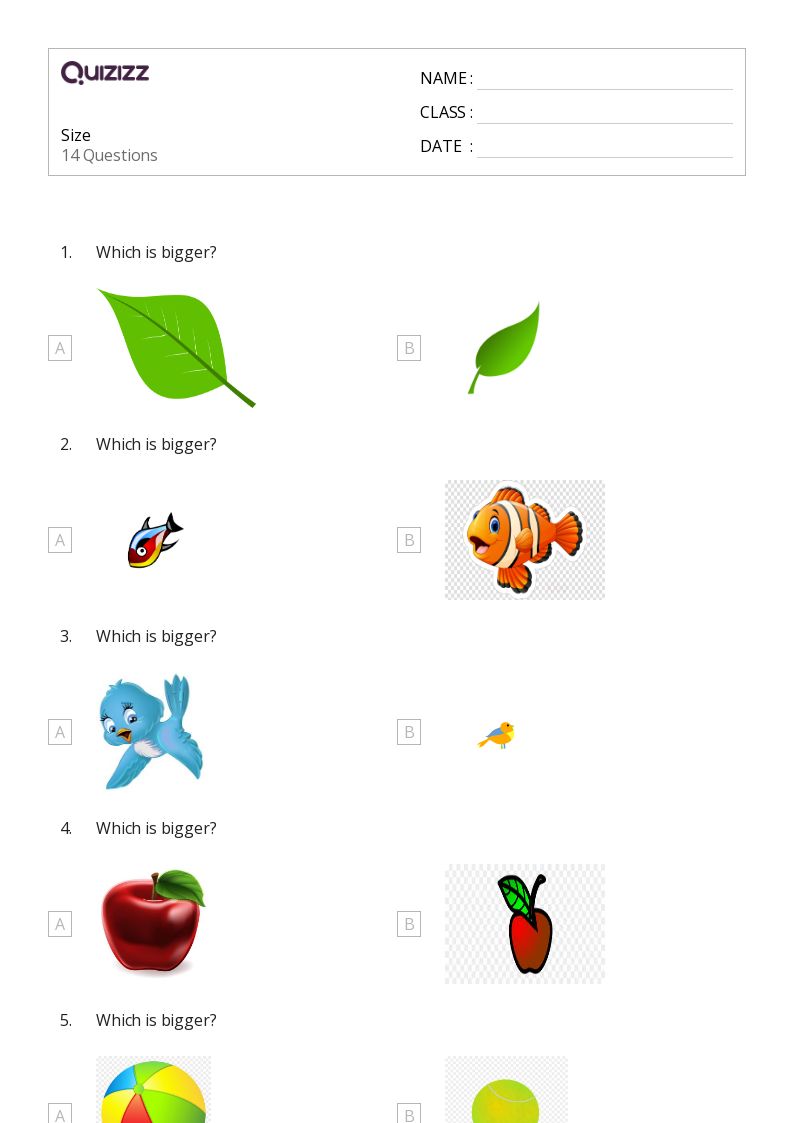 50+ Comparing Size worksheets for Kindergarten on Quizizz Free