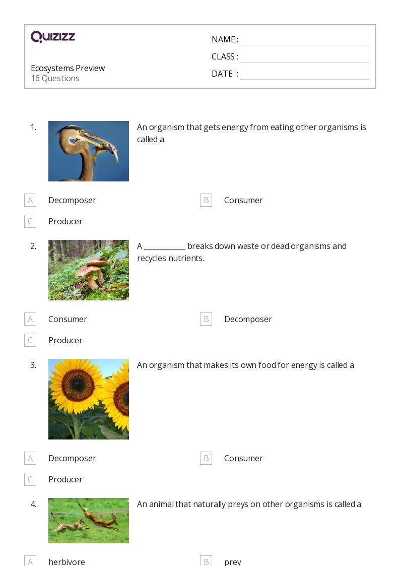 50+ Ecosystems worksheets for 8th Grade on Quizizz Free & Printable