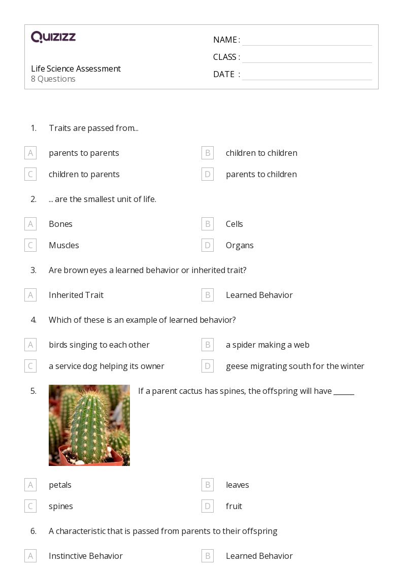Printable Life Science Worksheets for Grade 4 Quizizz