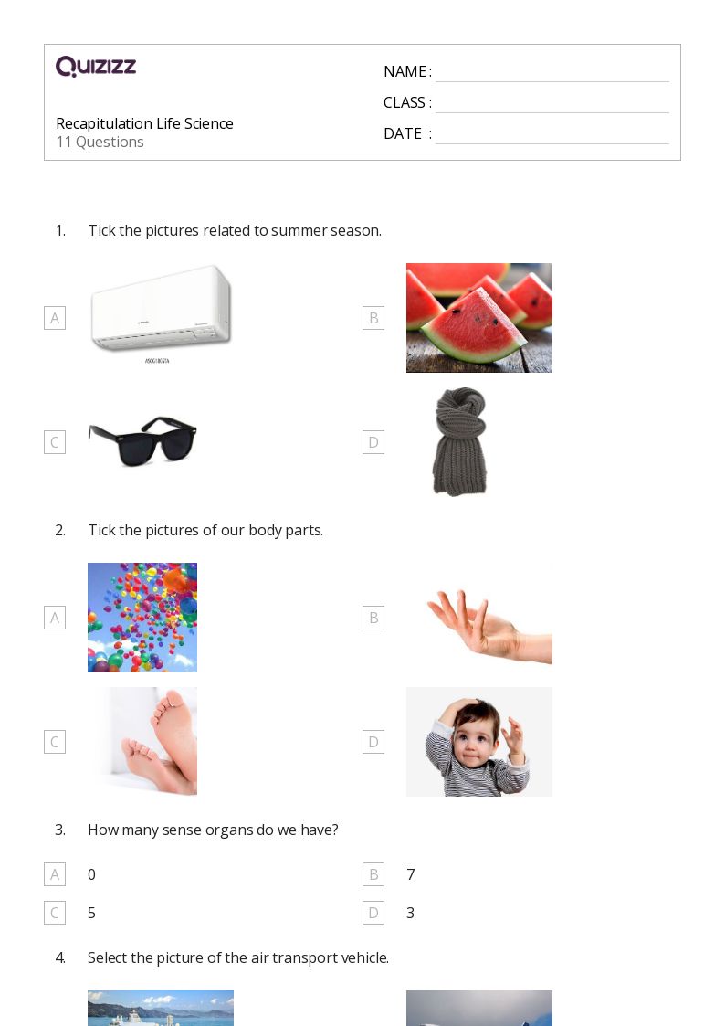 50+ Life Science worksheets for Kindergarten on Quizizz Free & Printable