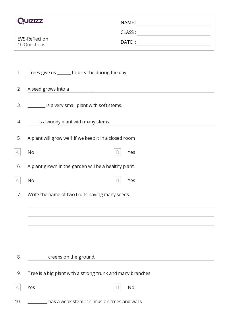 50+ Reflections worksheets for 1st Class on Quizizz Free & Printable