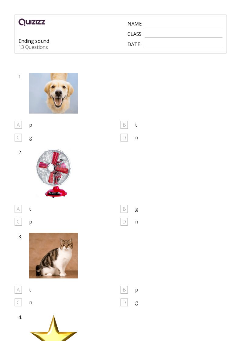 50+ Ending Punctuation worksheets for Kindergarten on Quizizz Free