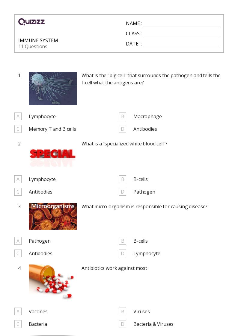 50+ the immune system worksheets for 12th Class on Quizizz Free