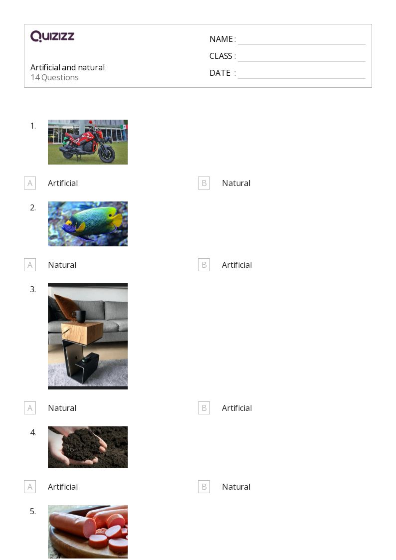 50+ Natural Selection and Adaptations worksheets for 1st Class on