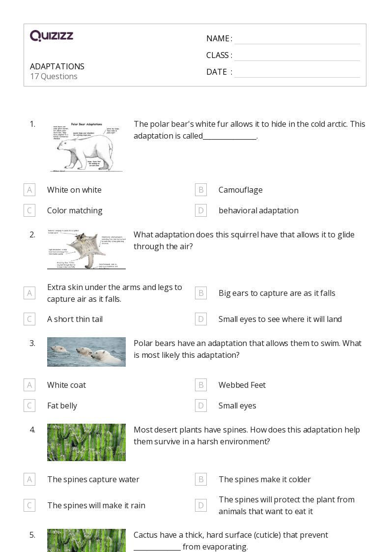 50+ Natural Selection and Adaptations worksheets for 5th Grade on Quizizz Free & Printable