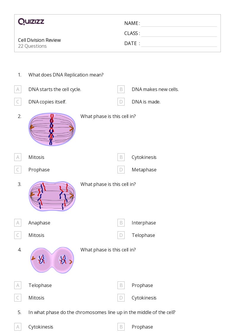 50+ cell division worksheets on Quizizz Free & Printable