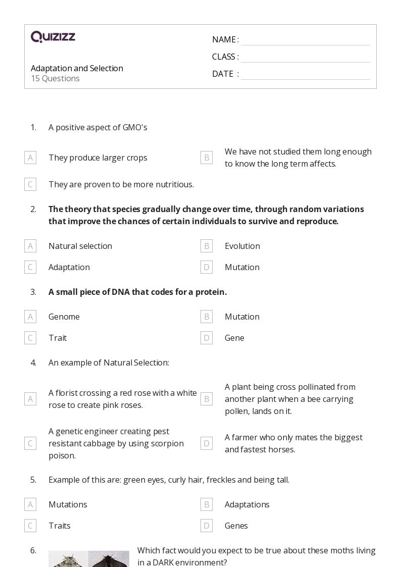 50+ Natural Selection and Adaptations worksheets for 6th Grade on