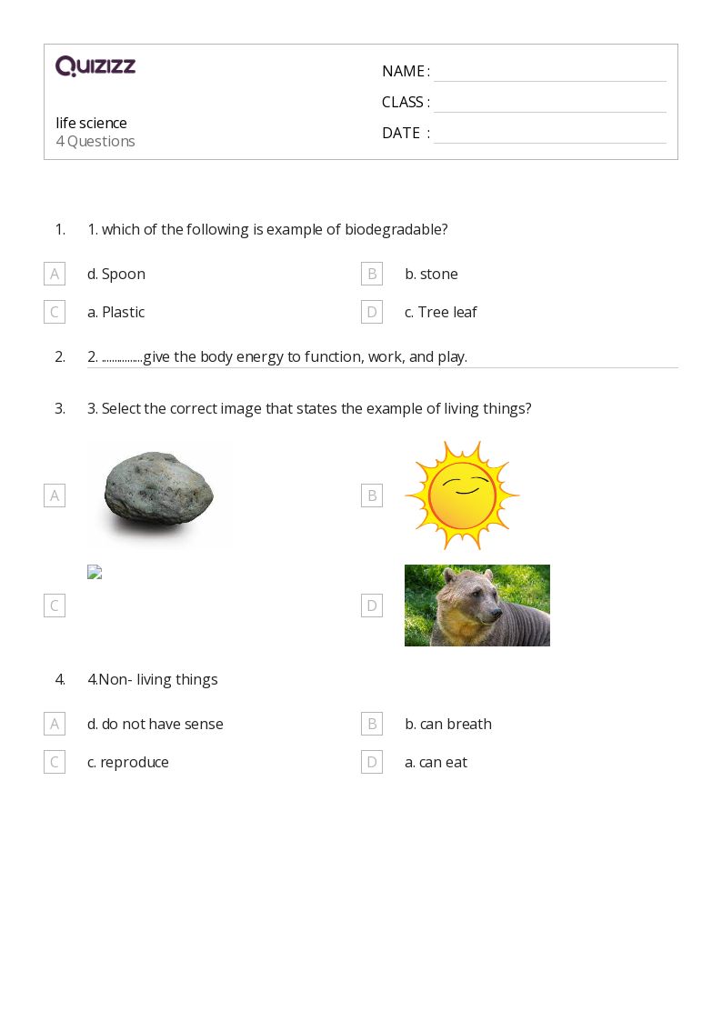 50+ Life Science worksheets for 4th Year on Quizizz Free & Printable