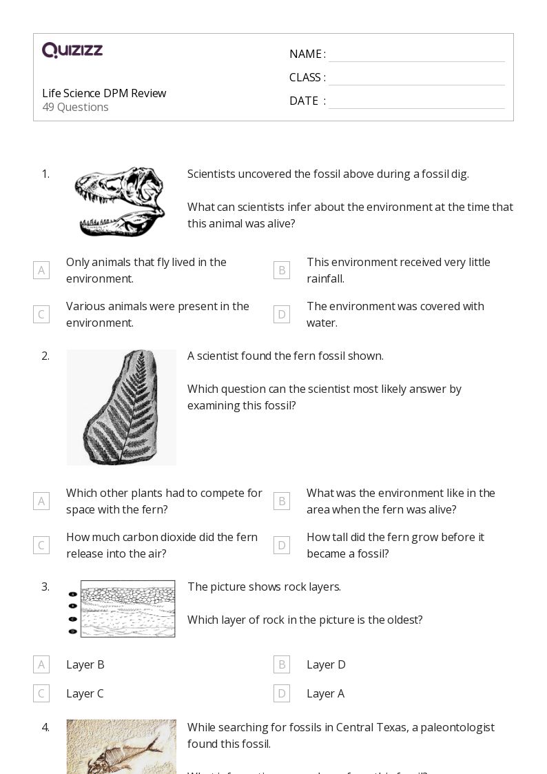 50+ Life Science worksheets for 4th Class on Quizizz Free & Printable