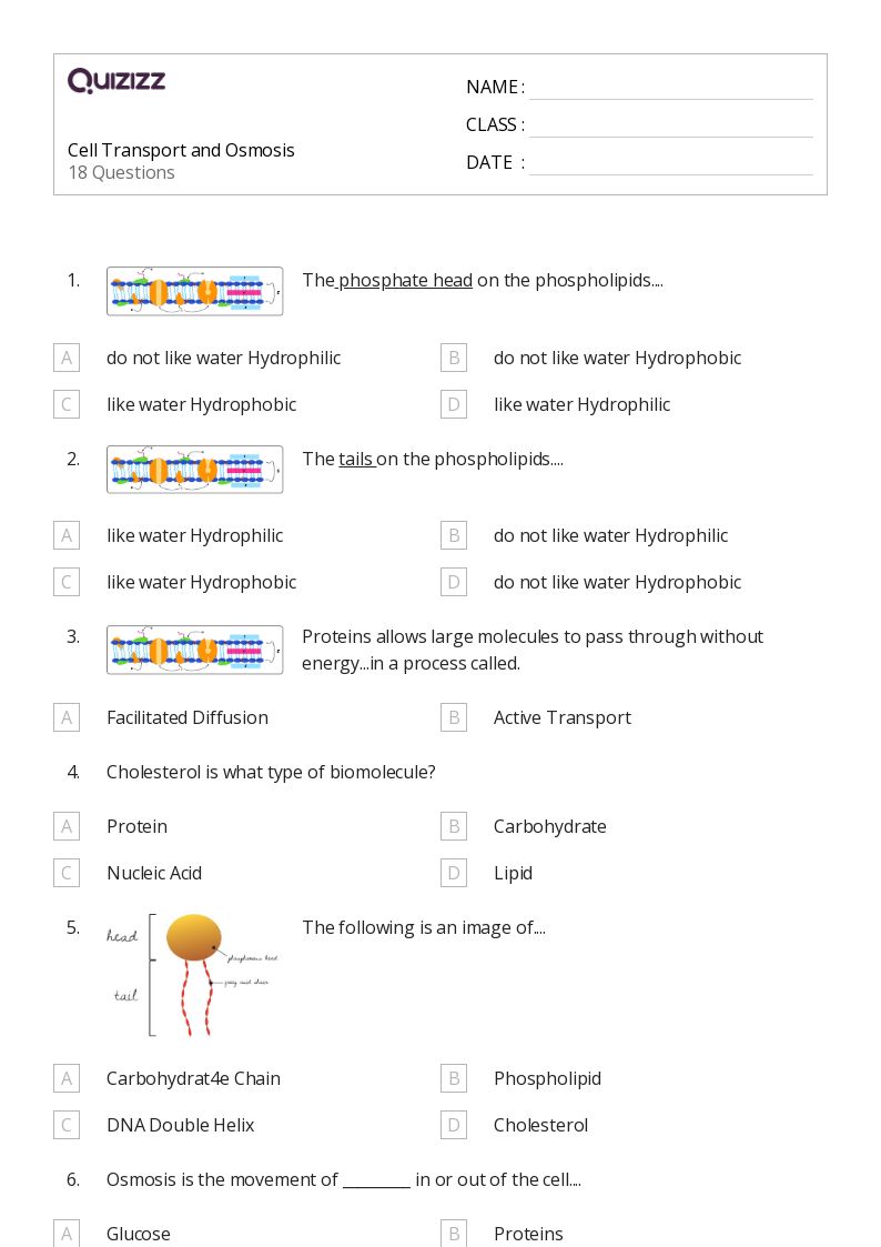 50+ osmosis and tonicity worksheets for Grade 10 on Quizizz Free & Printable