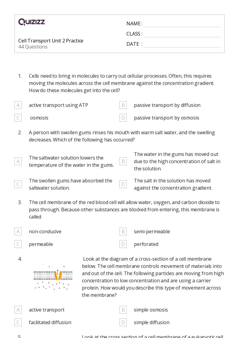 50+ osmosis and tonicity worksheets for 11th Grade on Quizizz Free & Printable