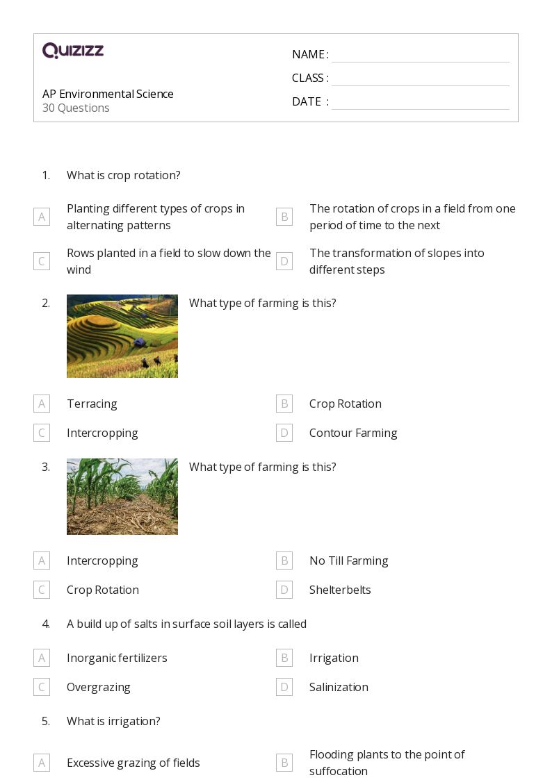 50+ Environmental Science worksheets for 2nd Grade on Quizizz | Free