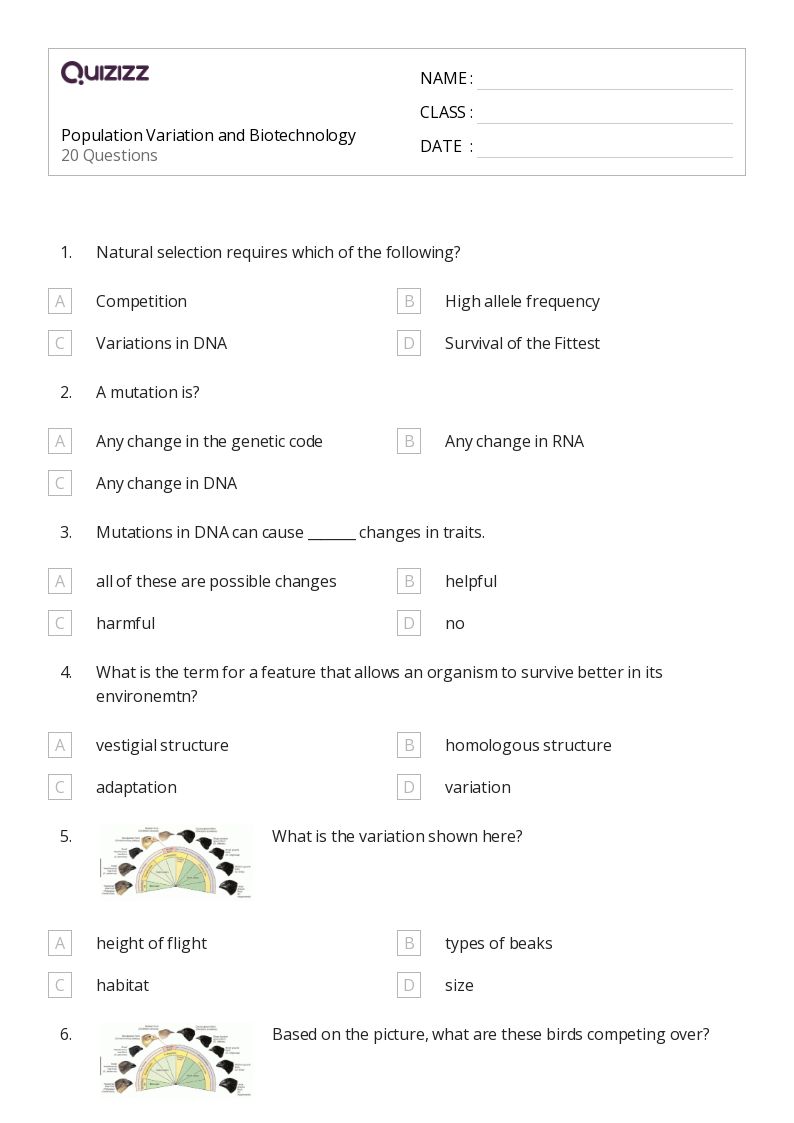 Printable variation Worksheets Quizizz
