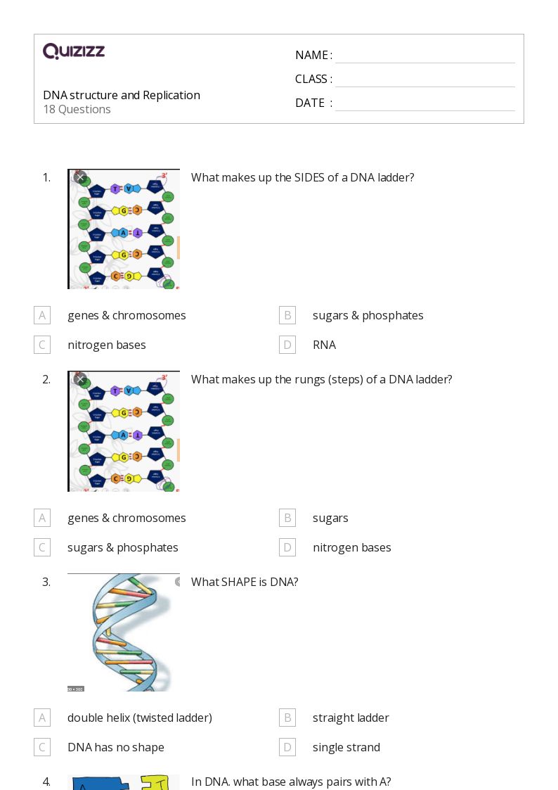 50+ dna structure and replication worksheets for 10th Grade on Quizizz Free & Printable