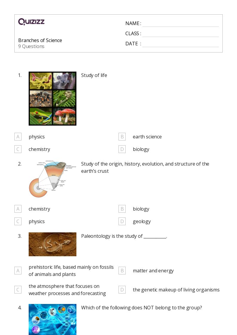 50+ Plants, Animals, and the Earth worksheets for 6th Year on Quizizz Free & Printable
