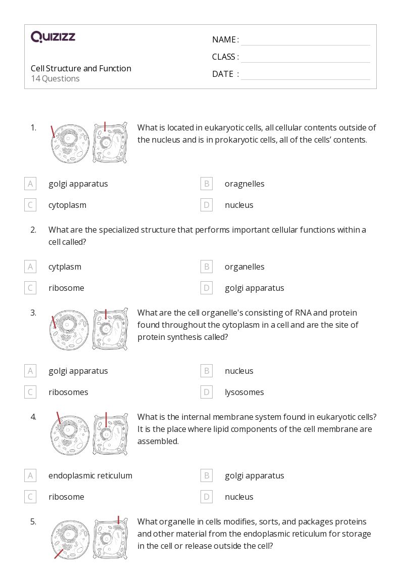 50+ structure of a cell worksheets for 9th Grade on Quizizz Free & Printable