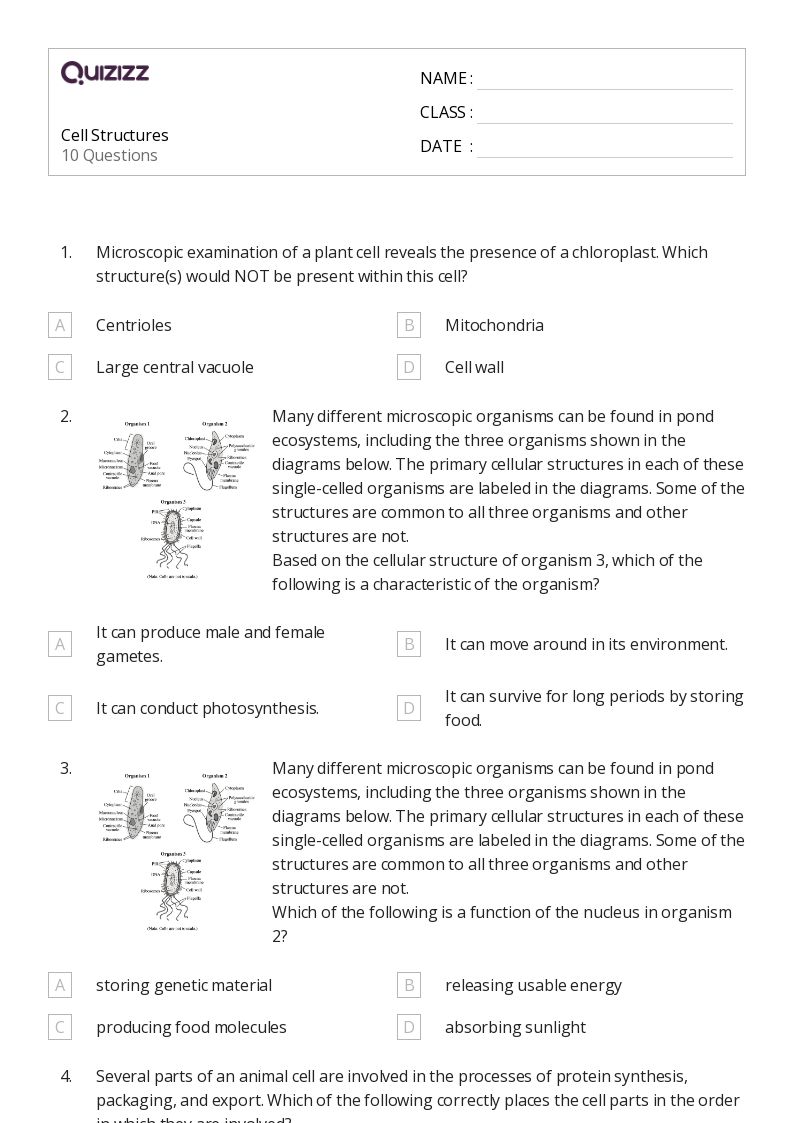 50+ structure of a cell worksheets for 10th Grade on Quizizz Free & Printable