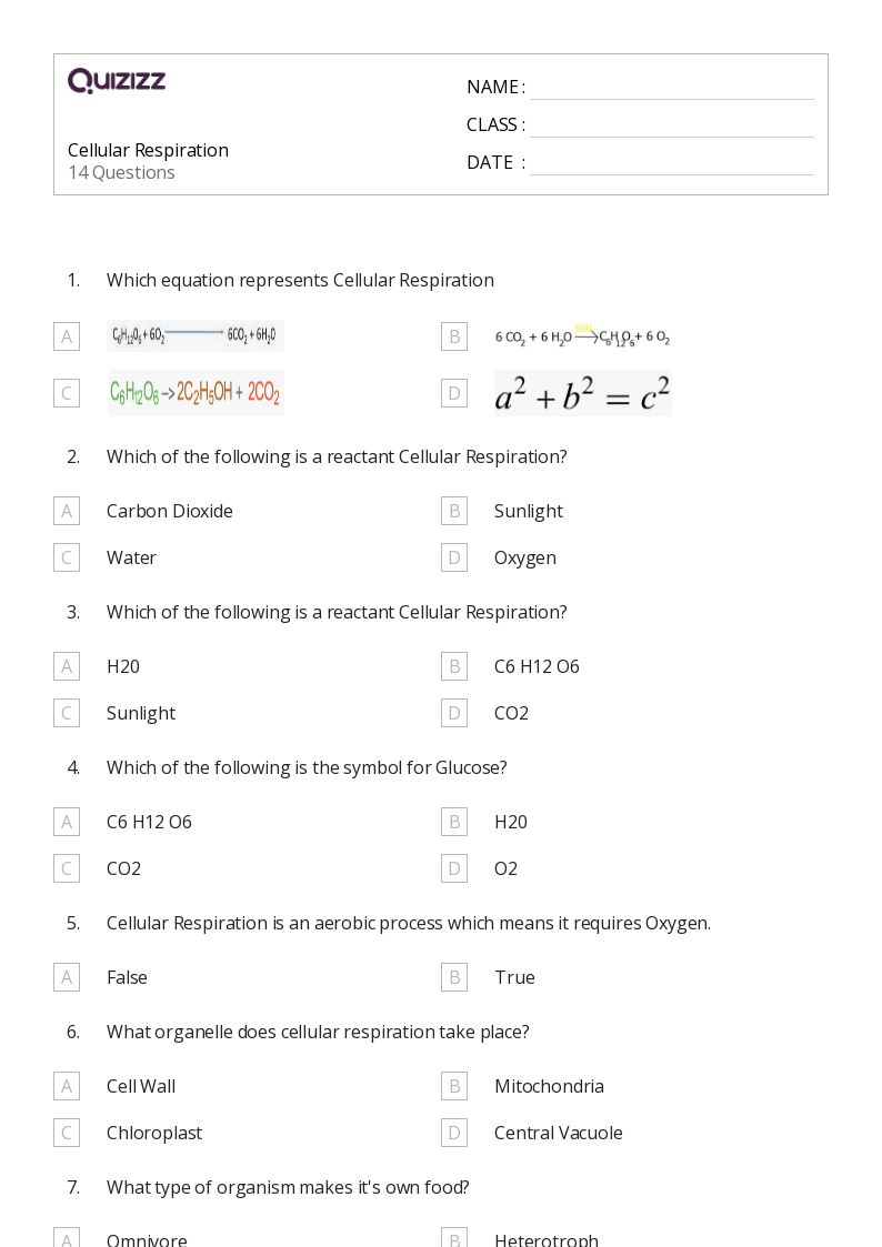 50+ cellular respiration worksheets for 9th Grade on Quizizz | Free