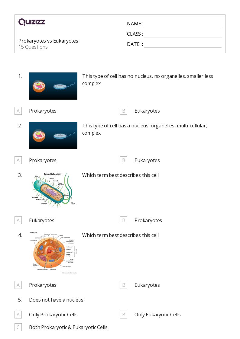 50+ prokaryotes and eukaryotes worksheets for 10th Year on Quizizz