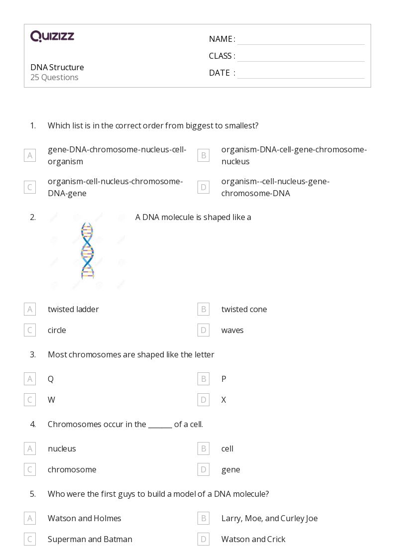 50+ chromosome structure and numbers worksheets for 10th Grade on Quizizz Free & Printable