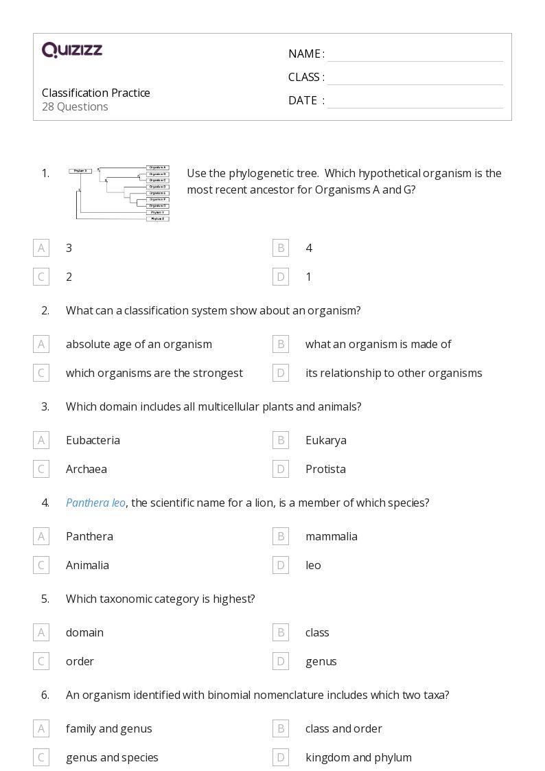 50+ phylogeny worksheets for 12th Grade on Quizizz Free & Printable