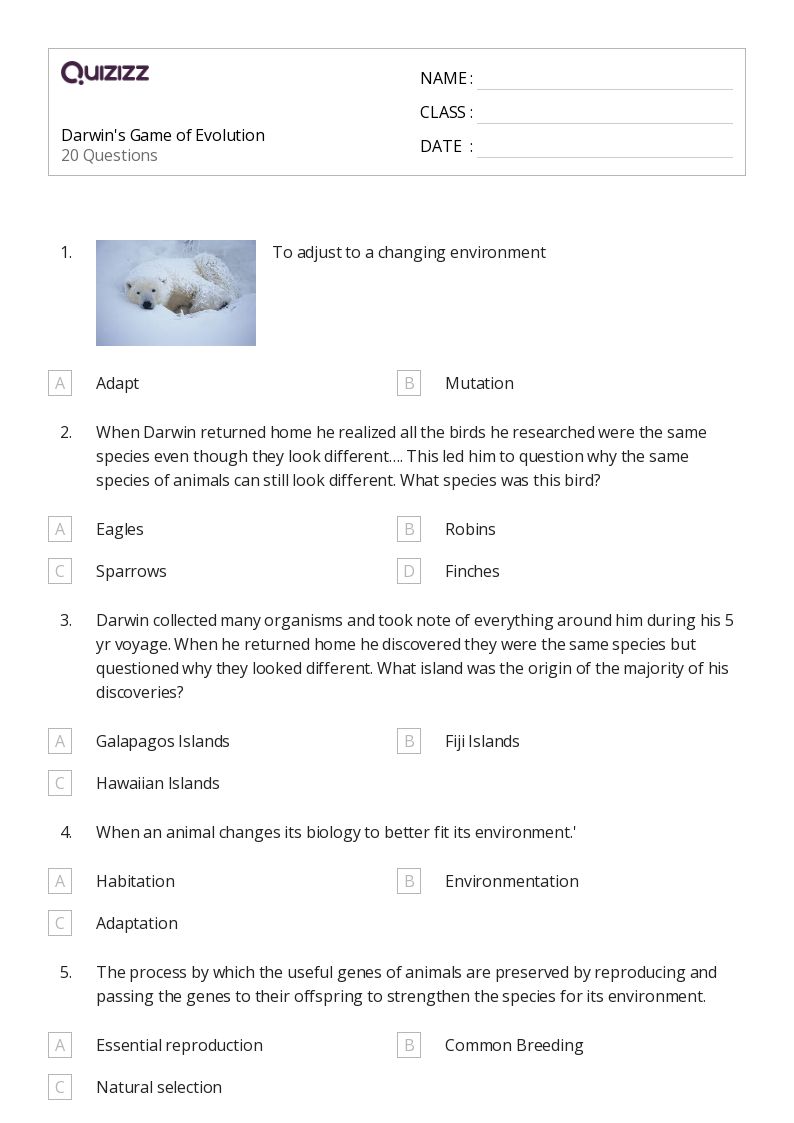 50+ evolution and the tree of life worksheets for 10th Class on Quizizz Free & Printable