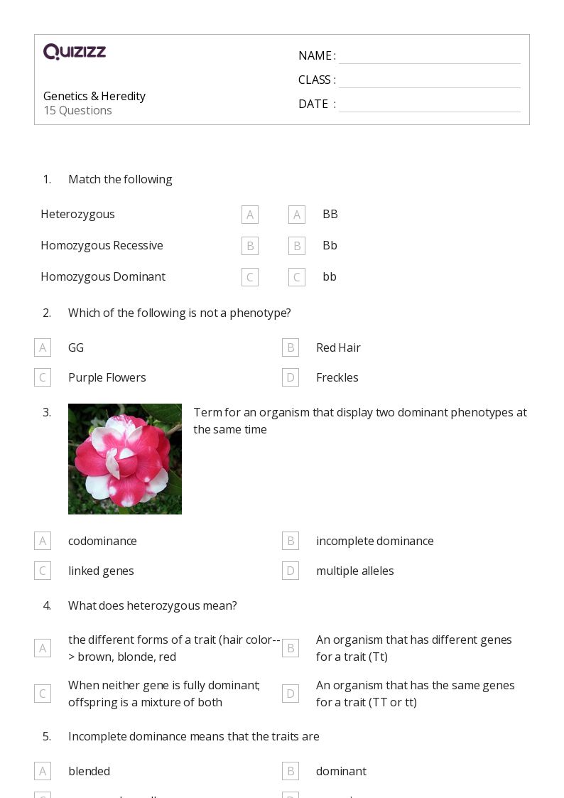 50+ worksheets for Kindergarten on Quizizz Free & Printable